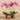 Flowers-Artificial Orchid Arrangement-Bloomr