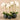 Flowers-Artificial Orchid Arrangement-Bloomr