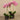 Flowers-Artificial Orchid Arrangement (Discontinued)-Bloomr