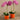Flowers-Artificial Orchid Arrangement-Bloomr