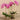 Flowers-Artificial Orchid Arrangement-Bloomr