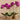 Flowers-Artificial Orchid Arrangement-Bloomr
