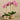 Flowers-Artificial Orchid Arrangement-Bloomr