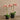 Flowers-Artificial Orchid Arrangement-Bloomr