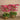 Flowers-Artificial Orchid Arrangement-Bloomr