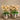 Flowers-Artificial Orchid Arrangement-Bloomr