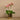 Flowers-Artificial Orchid Arrangement-Bloomr