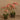 Flowers-Artificial Orchid Arrangement-Bloomr