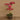 Flowers-Artificial Orchid Arrangement-Bloomr