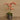Flowers-Artificial Orchid Arrangement-Bloomr