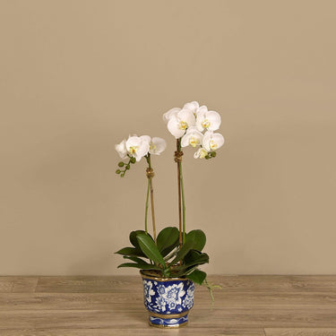 Flowers-Artificial Orchid Arrangement-Bloomr