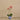Flowers-Artificial Orchid Arrangement-Bloomr