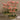 Flowers-Artificial Orchid Arrangement in Glass Vase-Bloomr