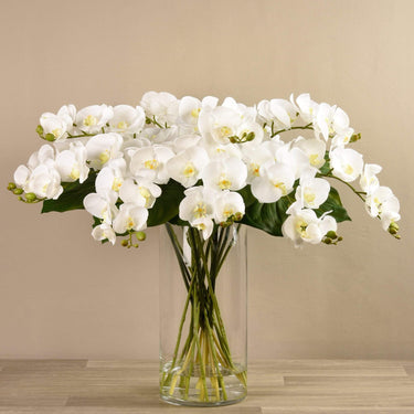 Flowers-Artificial Orchid Arrangement in Glass Vase-Bloomr
