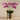 Flowers-Artificial Orchid Arrangement-Bloomr