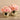 Floral Arrangement-Artificial Peony Arrangement-Bloomr