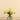 Flowers-Artificial Rose Arrangement in Glass Vase-Bloomr