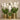 Flowers-Artificial Vanda Arrangement-Bloomr