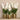 Flowers-Artificial Vanda Arrangement-Bloomr