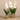 Flowers-Artificial Vanda Arrangement-Bloomr