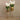 Flowers-Artificial Vanda Arrangement-Bloomr