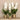 Flowers-Artificial Vanda Arrangement-Bloomr