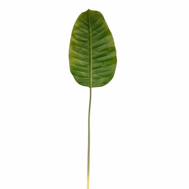 Flowers-Banana Leaf-Bloomr