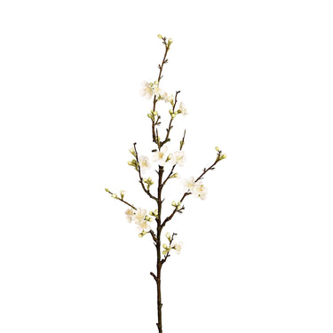 Flowers-Blossom-Bloomr