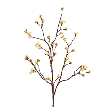 Flowers-Blossom Spray-Bloomr