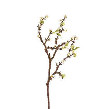 Flowers-Cherry Blossom-Bloomr
