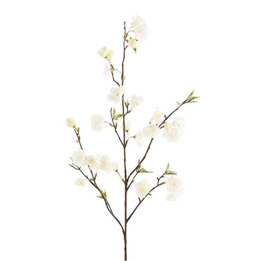 Flowers-Cherry Blossom-Bloomr