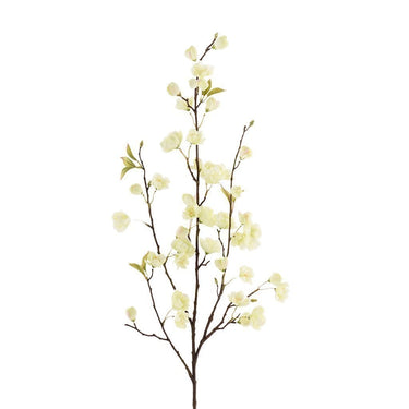 Flowers-Cherry Blossom-Bloomr