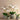 Flowers-Coastal Artificial Orchid Arrangement-Bloomr