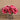 Flowers-Artificial Magnolia in Glass Vase-Bloomr