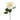 Flowers-Dahlia-Bloomr