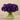 Flowers-Artificial Anemone in Glass Vase-Bloomr