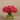 Floral Arrangement-Artificial Ranunculus in Glass Vase-Bloomr