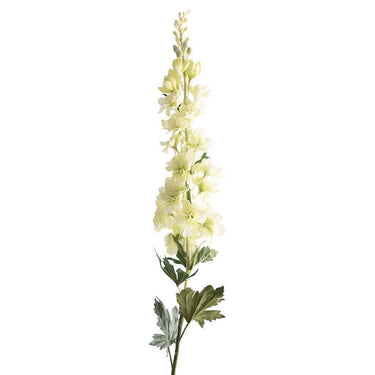 Flowers-Delphinium-Bloomr