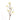 Flowers-Dogwood-Bloomr