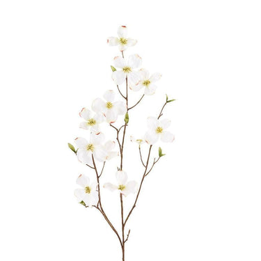 Flowers-Dogwood-Bloomr