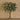 Flowers-Eucalyptus Arrangement in Glass Vase-Bloomr