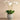 Flowers-Coastal Artificial Orchid Arrangement-Bloomr