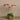 Flowers-Artificial Orchid Arrangement in Glass Vase-Bloomr