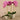 Flowers-Artificial Orchid Arrangement-Bloomr