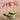 Flowers-Artificial Orchid Arrangement-Bloomr