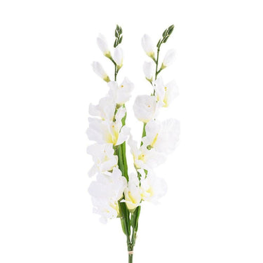 Flowers-Gladiola-Bloomr
