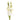 Flowers-Gladiola-Bloomr