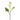 Flowers-Hybrid Lilac-Bloomr