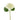 Flowers-Hydrangea-Bloomr
