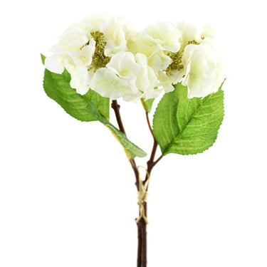 Flowers-Hydrangea-Bloomr